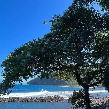 Le Liseron Creole - Entre Terre, Mer Et Riviere - Proche Toutes Commodites Saint-Joseph Buitenkant foto