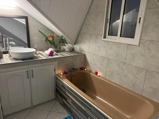 Le Liseron Creole - Entre Terre, Mer Et Riviere - Proche Toutes Commodites Saint-Joseph Buitenkant foto