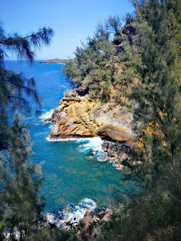 Le Liseron Creole - Entre Terre, Mer Et Riviere - Proche Toutes Commodites Saint-Joseph Buitenkant foto